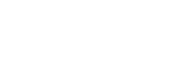 Logo Apartment Mittermanting